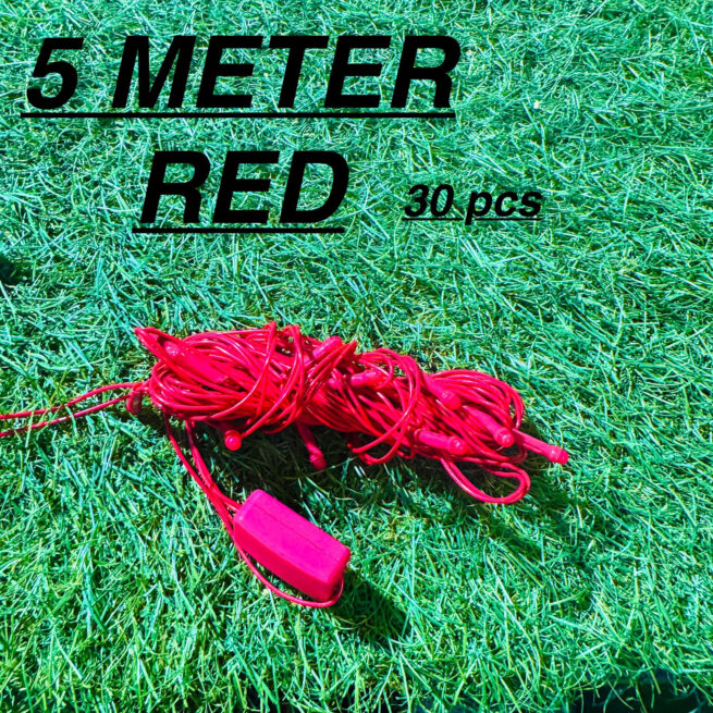 5meter REDCOLOR (30PCS)Decorative REDcolor Led String/Rice Light |Diwali Still Led Ladi String Light for Home Decor, Christmas, Diwali (REDCOLOR)