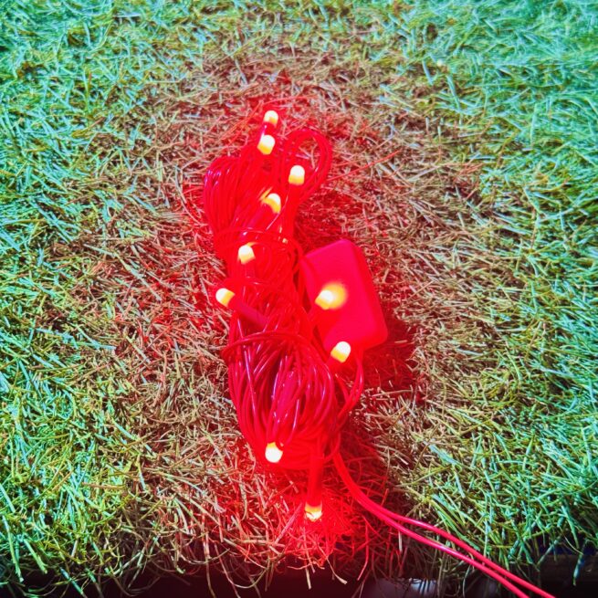 5meter REDCOLOR (30PCS)Decorative REDcolor Led String/Rice Light |Diwali Still Led Ladi String Light for Home Decor, Christmas, Diwali (REDCOLOR)
